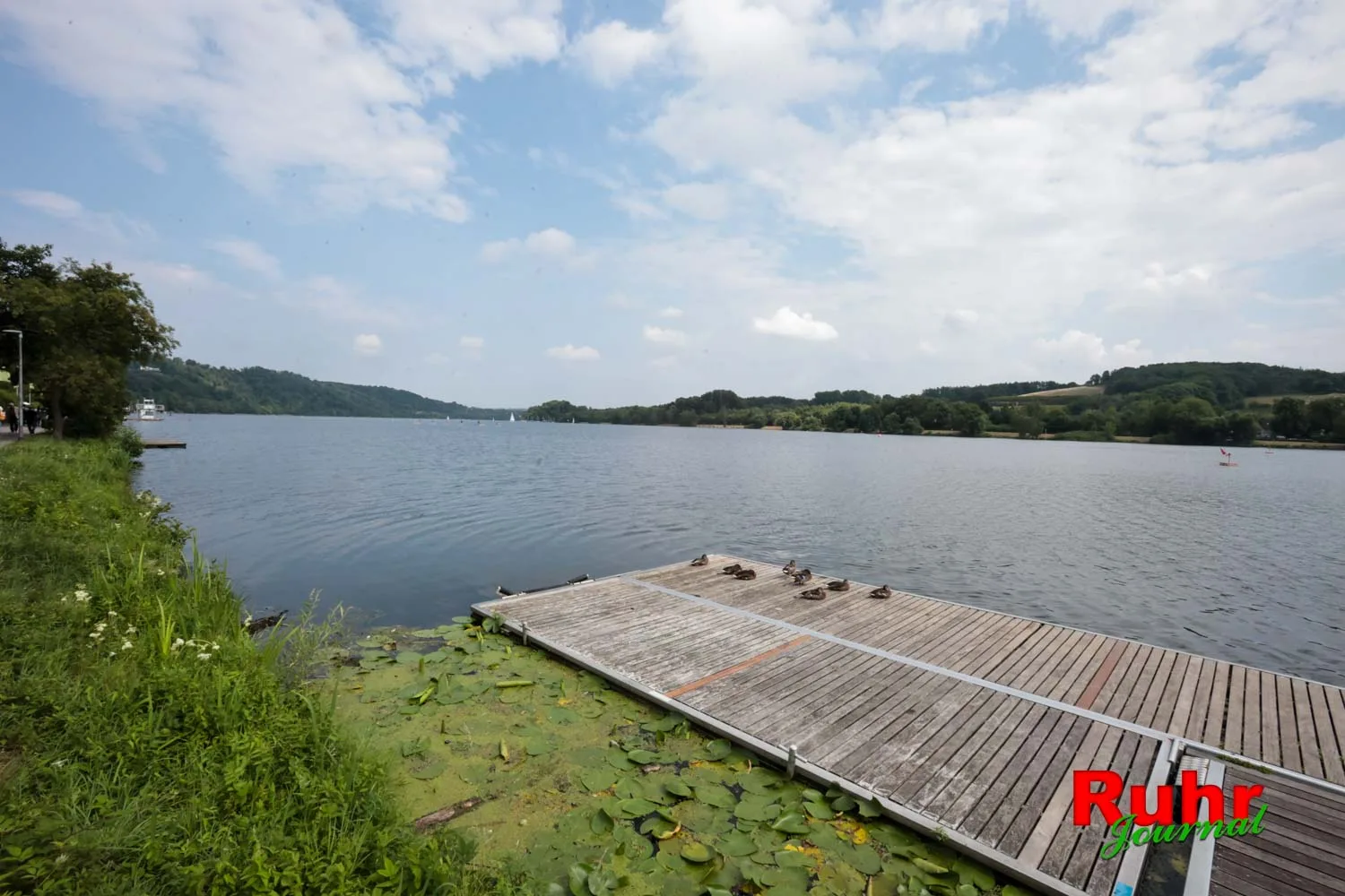 Umweltbericht Ruhrgebiet 2025