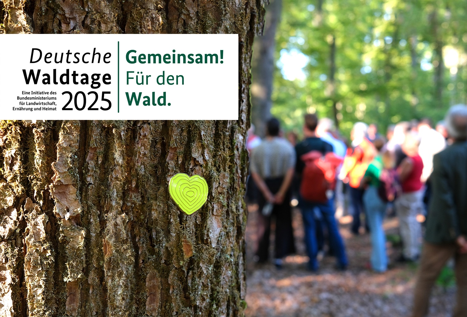 Deutsche Waldtage 2025: RVR Ruhr Grün lädt zu Walderlebnissen ein