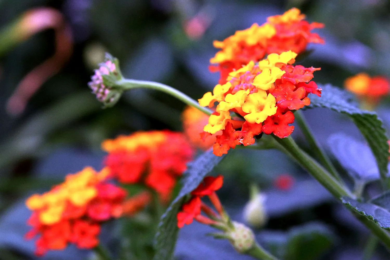 Mit der „Mission R“ spielerisch durch die Revierparks