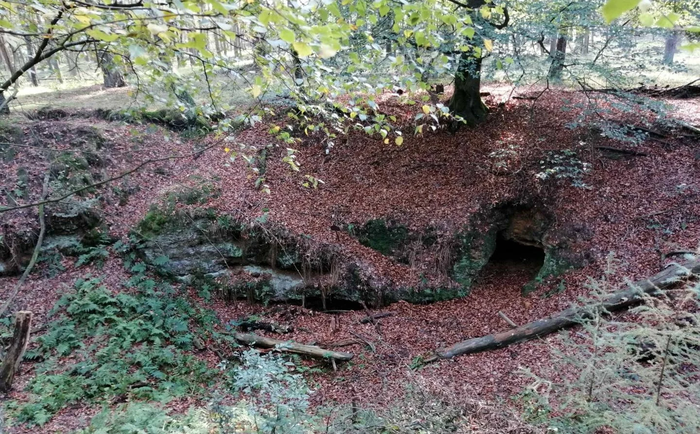 Winterwanderung durch die Emmelkämper Mark in Deuten