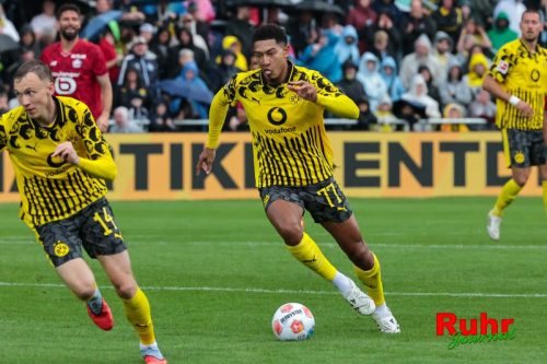 SES BVBLIL20250802-4