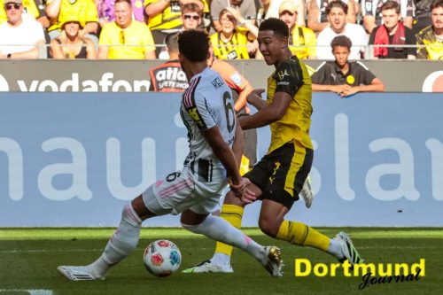 SES BVBTUR20250810-36