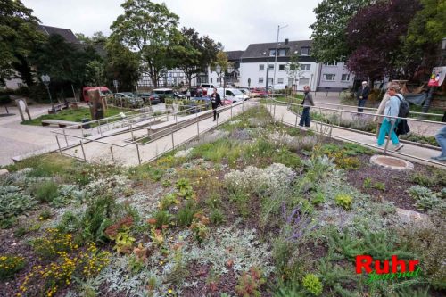 SES RUHIGA20250918-30